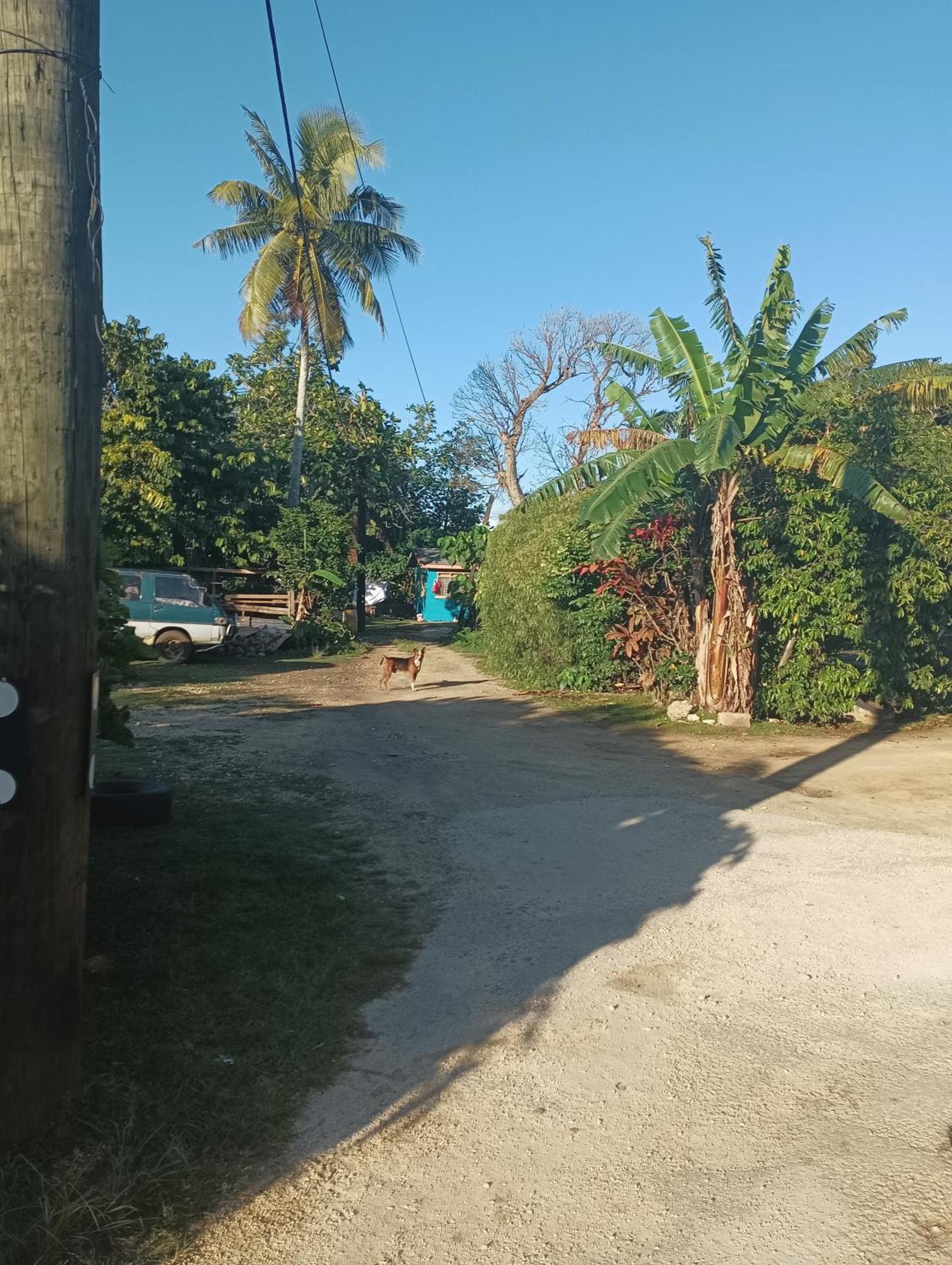 Kapeta Cabin Nuku'alofa Ngoại thất bức ảnh